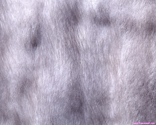 393557 (a): :1280x1024